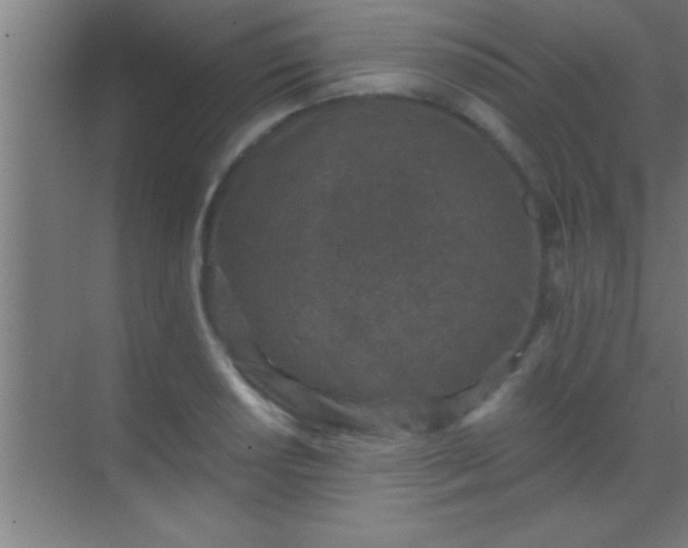 X0000069831034200605261836