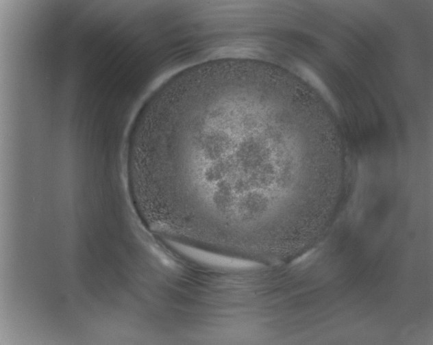 X0000069831035200605261836