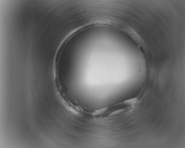 X0000069831036200605261836