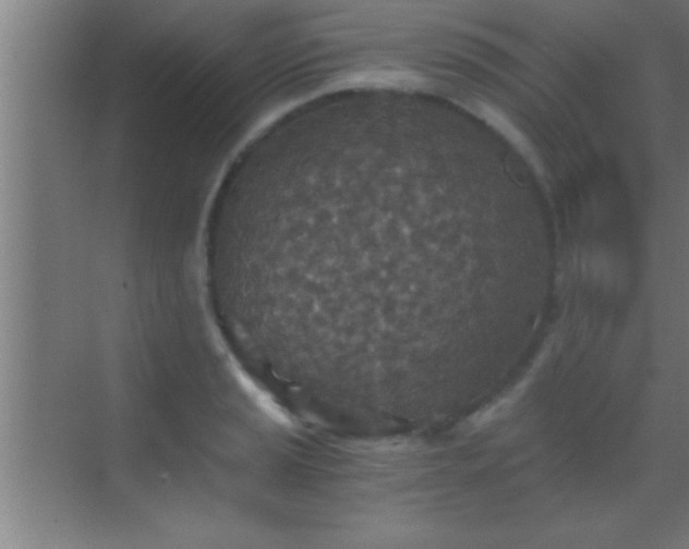 X0000069831037200605261836