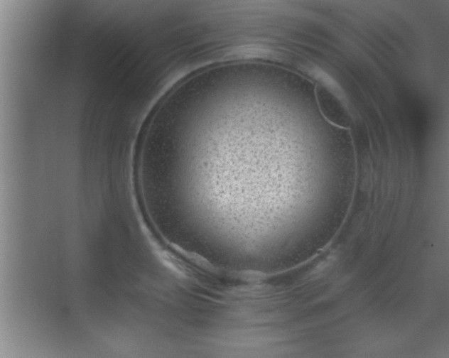 X0000069831039200605261836