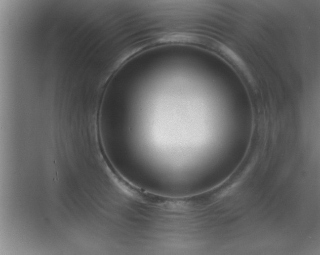 X0000069831041200605261836