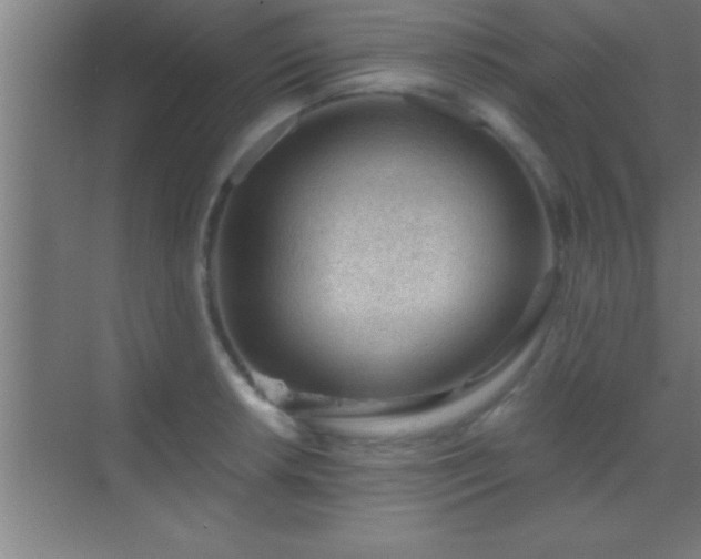 X0000069831042200605261836