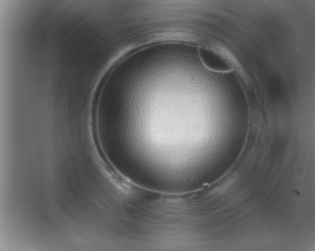 X0000069831043200605261836