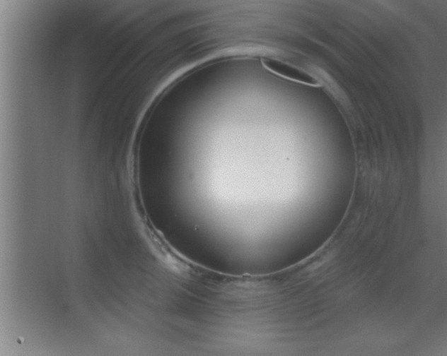 X0000069831044200605261836