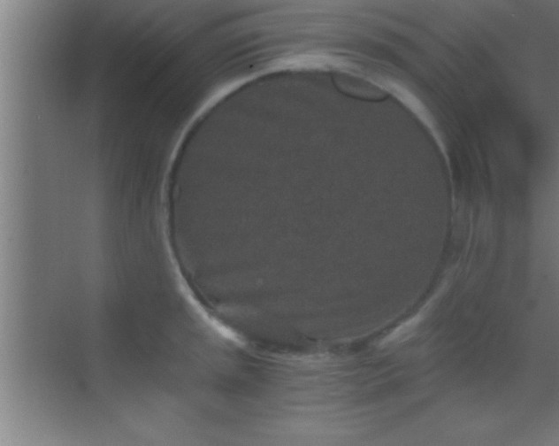 X0000069831045200605261836