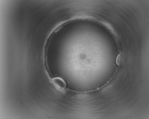 X0000069831046200605261836