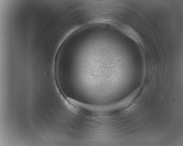 X0000069831050200605261836