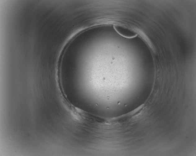 X0000069831051200605261836