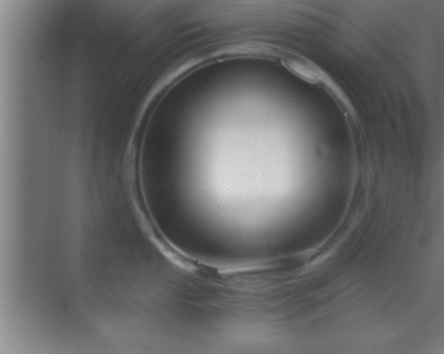 X0000069831053200605261836