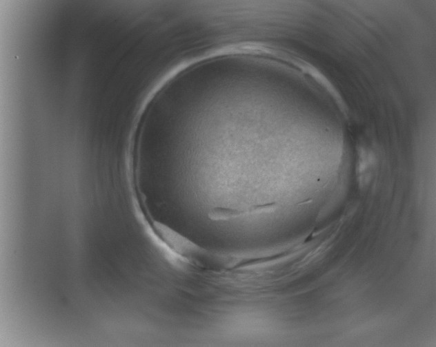 X0000069831054200605261836