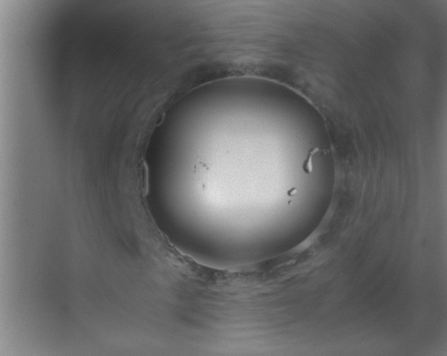 X0000069831057200605261835