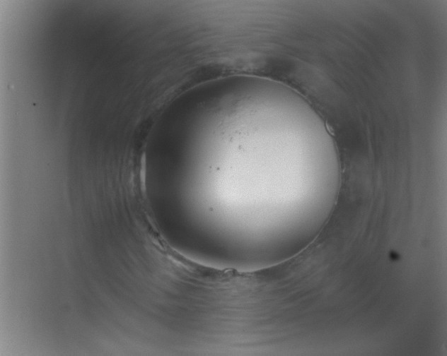 X0000069831058200605261835