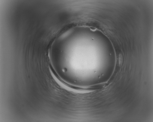 X0000069831059200605261835