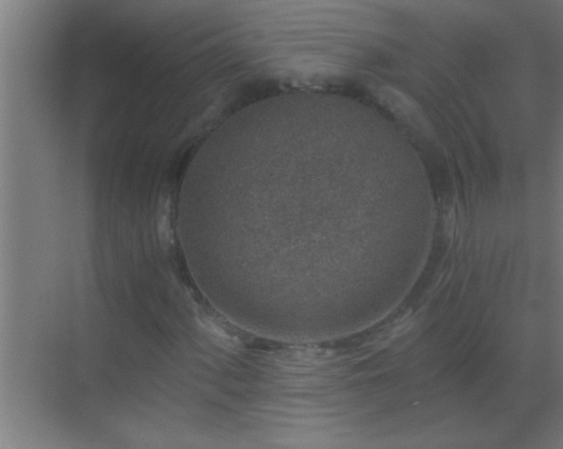 X0000069831060200605261835