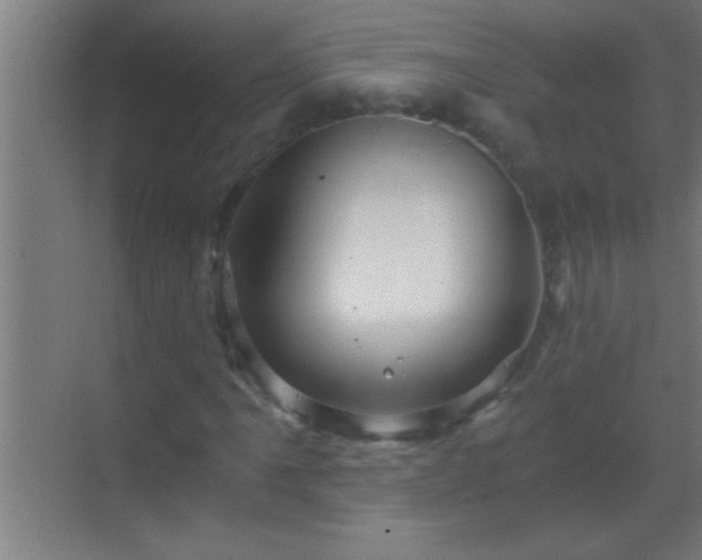 X0000069831061200605261835