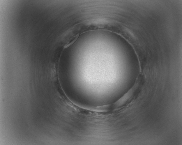 X0000069831062200605261835