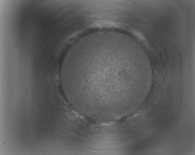 X0000069831063200605261835