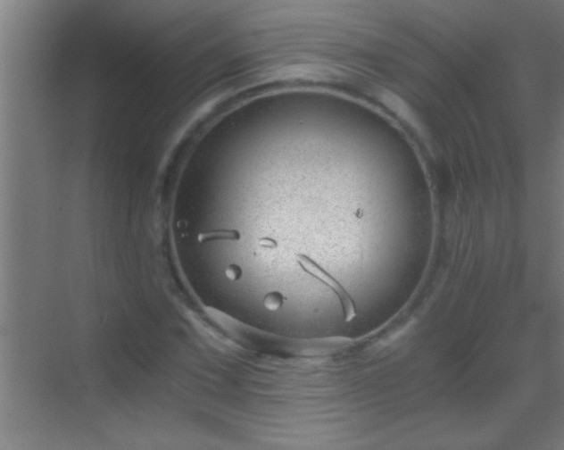 X0000069831067200605261835