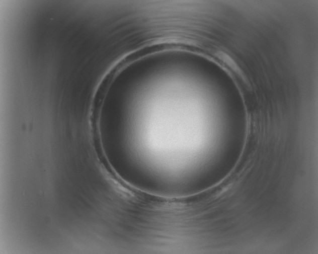 X0000069831068200605261835