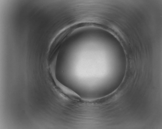 X0000069831069200605261835