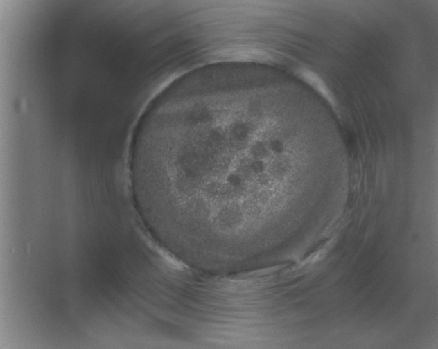 X0000069831071200605261835