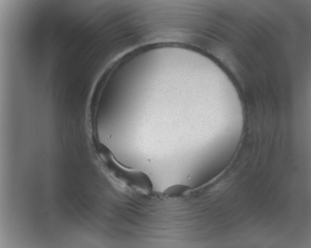 X0000069831072200605261835