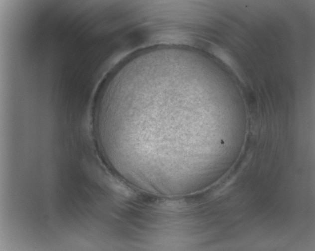 X0000069831074200605261835