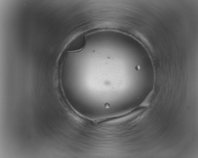 X0000069831075200605261835