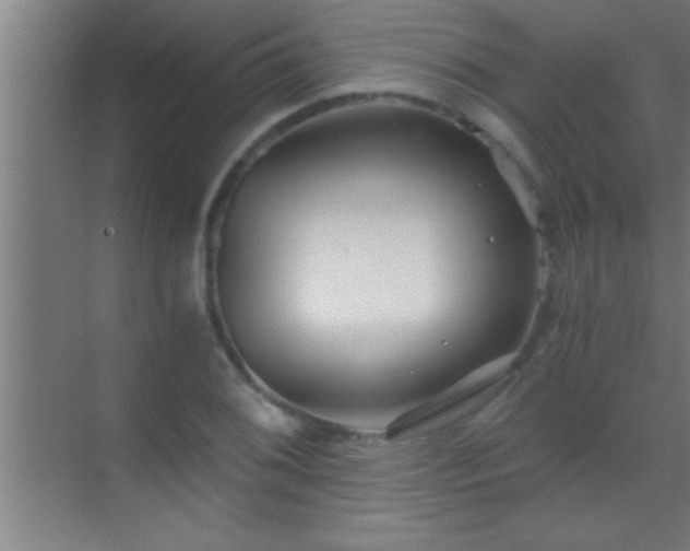 X0000069831076200605261835