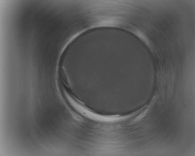 X0000069831077200605261835