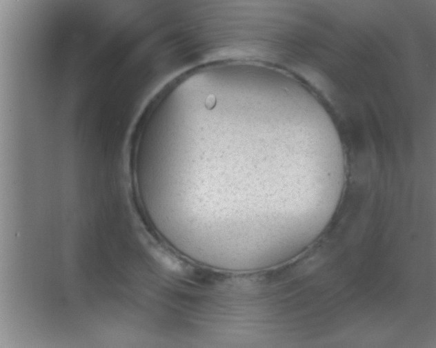 X0000069831078200605261835