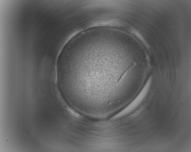 X0000069831079200605261835