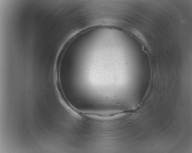 X0000069831080200605261835