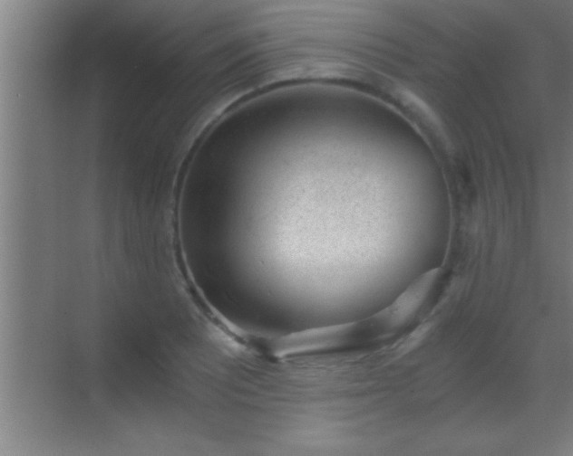 X0000069831081200605261835