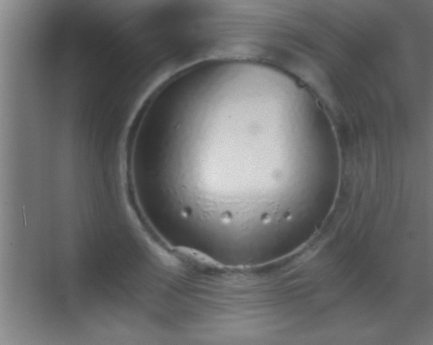 X0000069831083200605261835