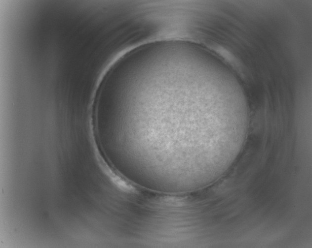 X0000069831086200605261835