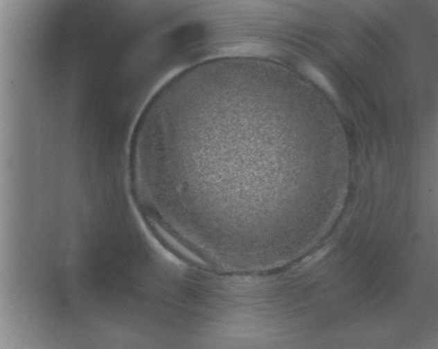 X0000069831087200605261835