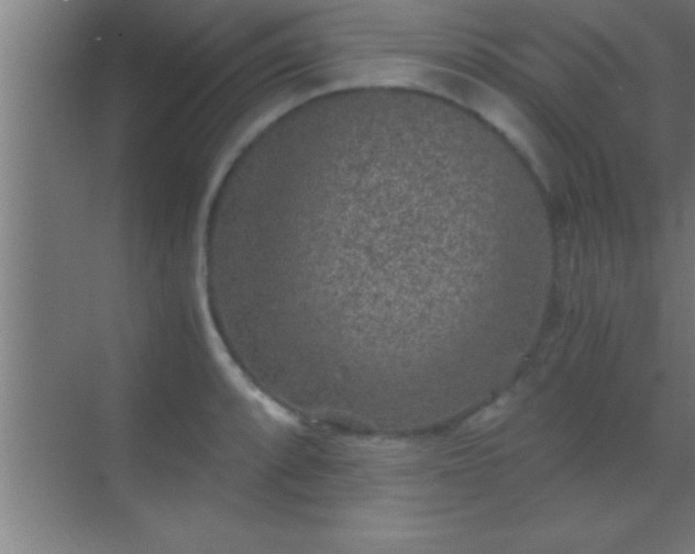 X0000069831088200605261835