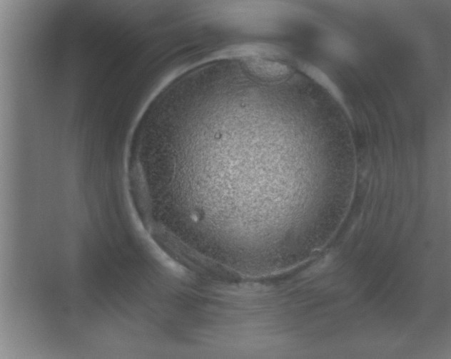 X0000069831091200605261835