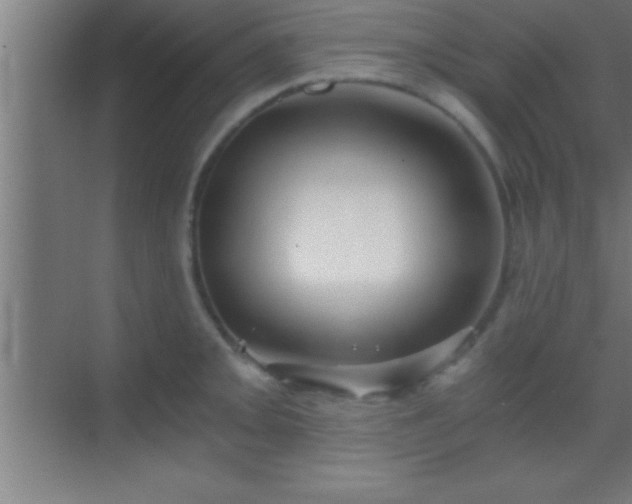 X0000069831093200605261834