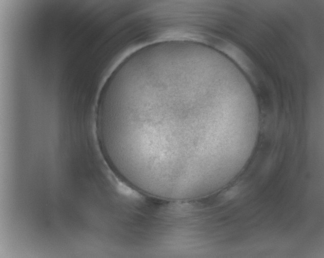 X0000069831094200605261834