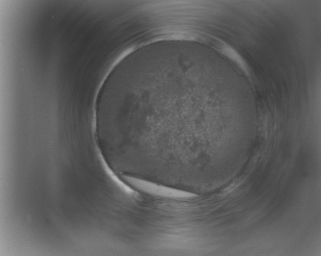 X0000069831095200605261834