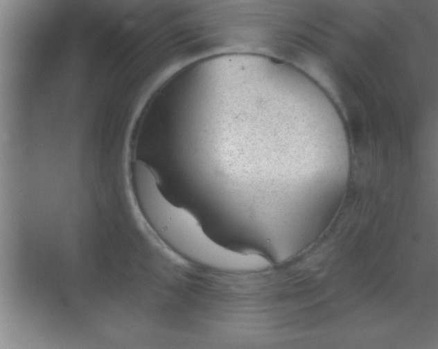 X0000069831096200605261834