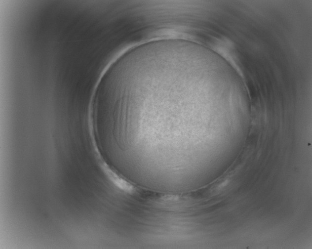 X0000069831098200605261834