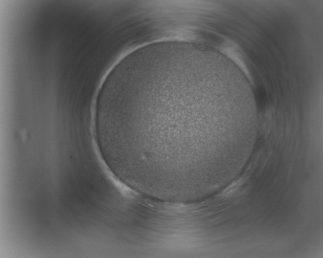 X0000069831099200605261834