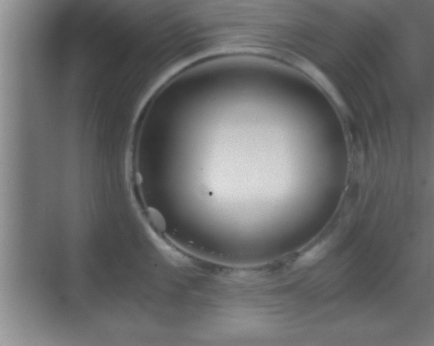 X0000069831101200605261834