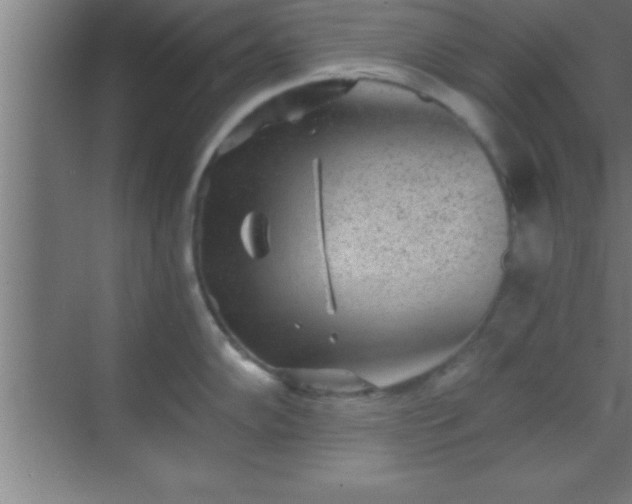 X0000069831102200605261834