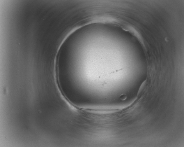 X0000069831103200605261834