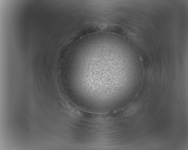 X0000069831105200605261834